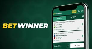 Exploring BetWinner in Ukraine A Comprehensive Guide